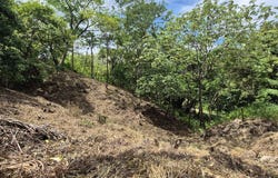 Sámara, Sámara, Guanacaste Province