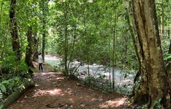 Farm for Sale in San Carlos, La Tigra, Alajuela