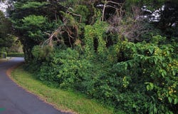 Heredia, San Rafael, Heredia Province 40501