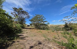 Alajuela, La Guacima, Alajuela, La Guacima, Alajuela