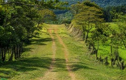 San Carlos, Quesada, Alajuela Province 21001