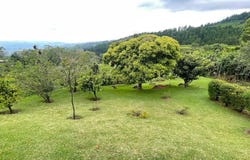 San Isidro, San Isidro, Alajuela 20301