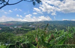 Naranjo, Naranjo, Alajuela 20606
