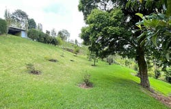 San Isidro, San Isidro, Alajuela 20301