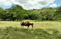 Artola, Sardinal, Guanacaste Province