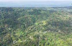 Carbon, Cahuita, Limon 70403