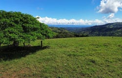 Moctezuma Distrito La Amistad, Pejibaye, Perez Zeledon, San Jose, Perez Zeledon, San Jose 11909