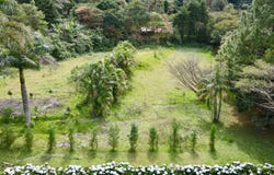 San Francisco, Grecia, Alajuela, Grecia, Alajuela