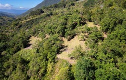 Finca Talamanca | Chirripo, Rivas, San Jose 11904