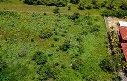Liberia, Liberia, Guanacaste 50503