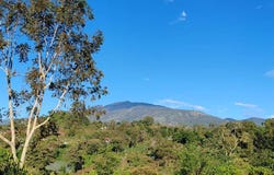 Cimarrón , Turrialba, Turrialba, Cartago, Turrialba, Cartago 30501