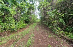 Finca Nandayure, Nandayure, Guanacaste Province