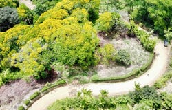 Platanillo, Puntarenas, Puntarenas 11901