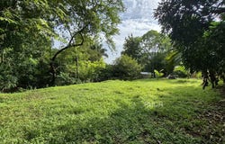 Sámara, Sámara, Guanacaste Province