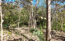 Sámara, Sámara, Guanacaste Province