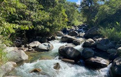 Cacique | Chirripo, Rivas, San Jose 11904