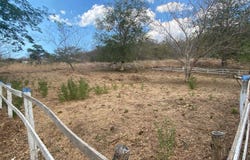 863M+HQ, Tamarindo, Guanacaste Province