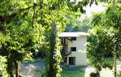 Limonal, Cahuita, Limon 70403