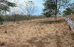 863M+HQ, Tamarindo, Guanacaste Province