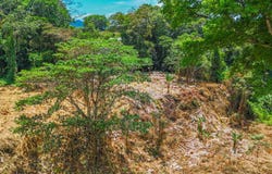 Puntarenas, Ojochal, Costa Rica, Ojochal, Puntarenas, Ojochal, Puntarenas