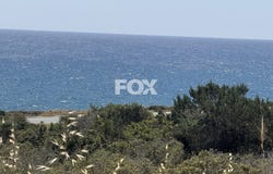 Moni, Limassol