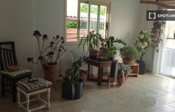 nicosia, Nicosia 2547