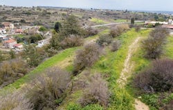Páchna, Limassol