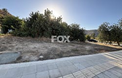Fasoúla, Limassol