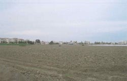 Lárnax, Larnaca