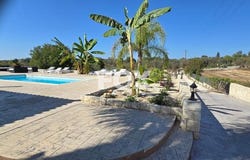 Lása, Paphos