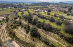Páchna, Limassol