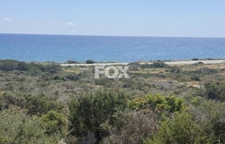 Moni, Limassol