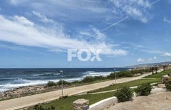 Chlórakas, Paphos