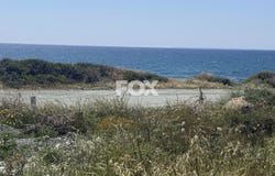 Moni, Limassol