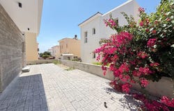 Tála, Paphos