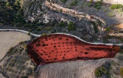 Koili, Paphos 8543