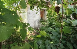 Schönwölkau, Saxony 4509