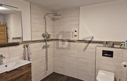 Singen, Baden-Württemberg 78224
