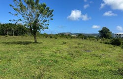 Las Galeras, Las Galeras, Samaná Province 32000