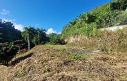 El Jamito, Samaná, Samaná Province 32000