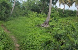 Las Garitas, Samaná, Samaná Province 32000