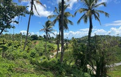 Samana, Samana, Samaná Province 32000