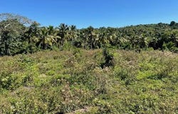 Samana, Samaná Province 32000