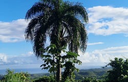 El Jamito, Samaná, Samaná Province 32000