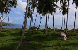 Samana, Samana, Samaná Province 32000