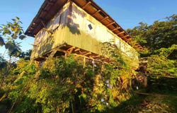 Orellana Province, Orellana