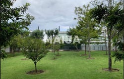 RH93+V2C, Av. De los Andes, Quito 170157, pichincha, Cumbaya, Pichincha EC170157