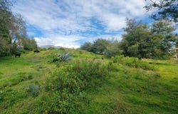 Cotacachi, Cotacachi, Imbabura Province