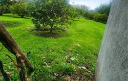 Countryside Home Construction Site For Sale in Guayllabamba, Guayllabamba, Pichincha