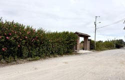 Your Custom Home Awaits- Build Ready Home Construction Site, Cotacachi, Imbabura